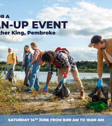 2-cleanup-event-visual